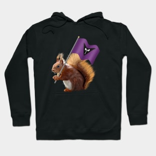 Red Squirrel with a Labrys Pride Flag Hoodie